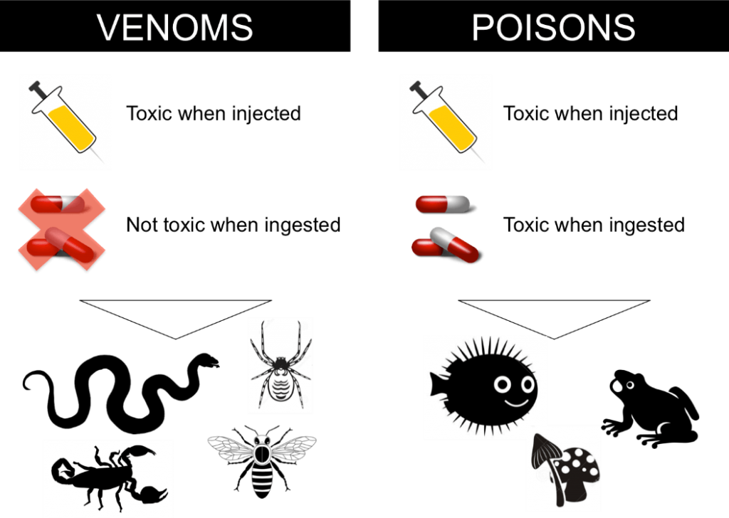 Chart comparing venom and poisons